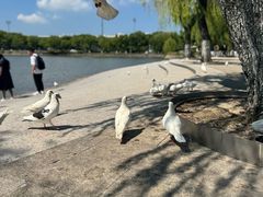 -上海交通大学(闵行校区)