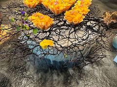 -大拙里·精致融合菜(沙湖桃源国际店)