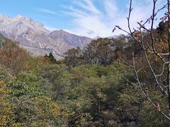 -黄龙山原始森林景区