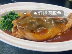 -新光酒家·河豚·海鲜·蟹料理(浦东店)