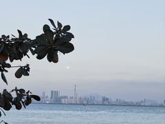 -深圳湾公园(南山区)