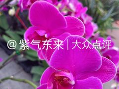 -潮汕大目牛肉火锅(皇岗旗舰店)