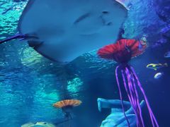 -沈阳海洋探索中心