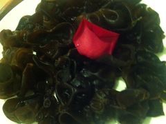 -蜀九香火锅(九眼桥店)