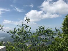 -阳台山森林公园