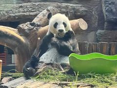 -石家庄市动物园