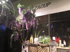 -杂咖zacup(领展中心城店)