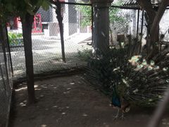 -罔极寺