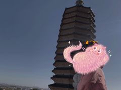 -八大处公园