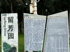 -万绿园