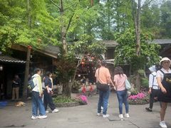 -青城甲(青城山店)