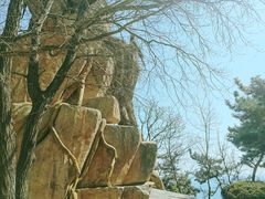 -燕窝岭