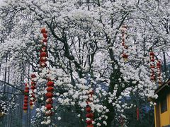 -杭州上天竺法喜讲寺