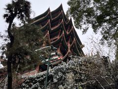 -黄鹤楼公园(黄鹤楼)