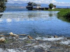 -大理洱海