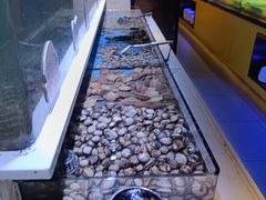 -聚盛源蒸汽海鲜火锅烤肉自助(巨川金海岸购物广场店)