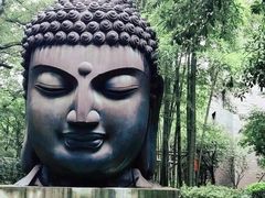 -杭州植物园