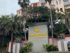 -圣爵菲斯大酒店(长沙世界之窗店)