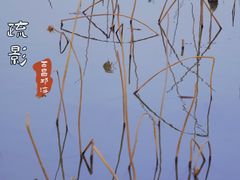 -西昌邛海湿地