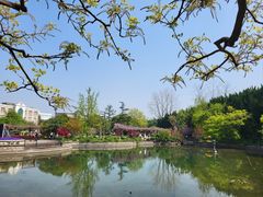 -嘉定紫藤园
