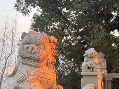 -阅江楼风景区