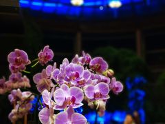 -三岔湖环球融创天堂洲际酒店水乐园