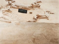 -洛阳周王城天子驾六博物馆