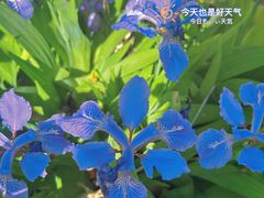 -迎泽公园