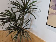 -山也·私厨(岳麓店)