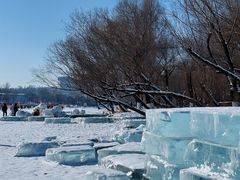 -长春市南湖公园