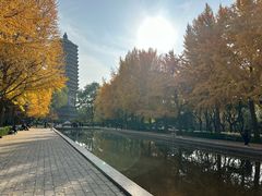 -玲珑塔公园