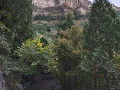 -佛慧山