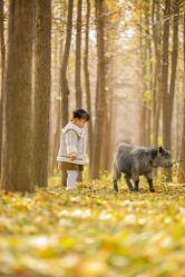 -DORA kids 朵拉儿童摄影花园店