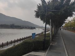 -风云岭森林公园