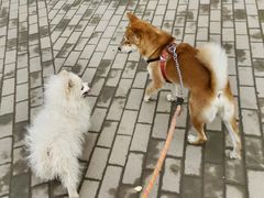 -美联众合24小时·皮肤科·外科·全科诊疗中心(华苑分院)