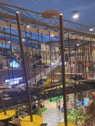 -卡通尼·Safari非洲探索乐园·生日会(金桥国际商业广场店)