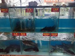 水产区-鲜椒鱼·雅安地标性美食