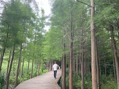-云龙湖旅游景区