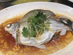 -大门水乡·顺德菜