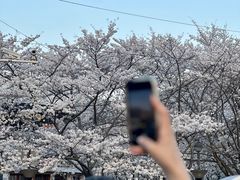 -上海辰山植物园