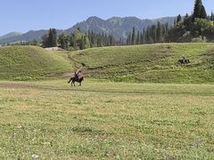 -新疆那拉提国家旅游度假区