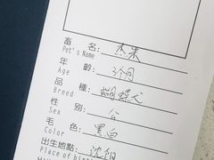 -申普宠物医院·心脏介入·心血管微创(总院)