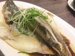 -周锦记广式餐厅(格林生活坊2期店)