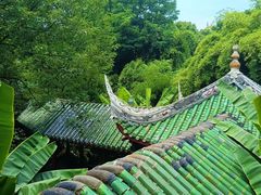 -棠湖公园