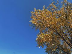 -西昌邛海湿地