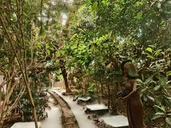 -呀路古热带植物园