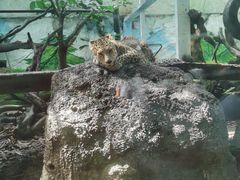 -广州长隆野生动物世界
