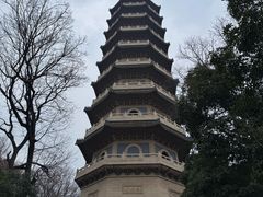 -灵谷景区