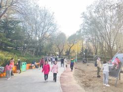 -酷酷兔少儿拓展天地