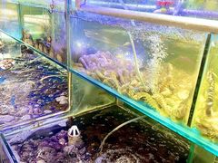 -四海蒸鲜蒸汽海鲜自助(北戴河店)